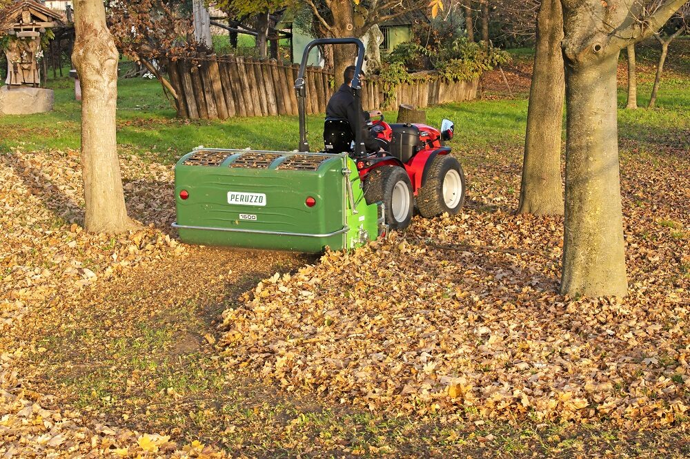 Koala-leaf-collector