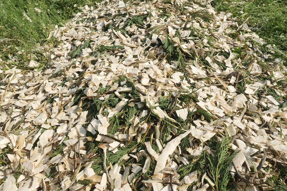 Tb100-wood-chips